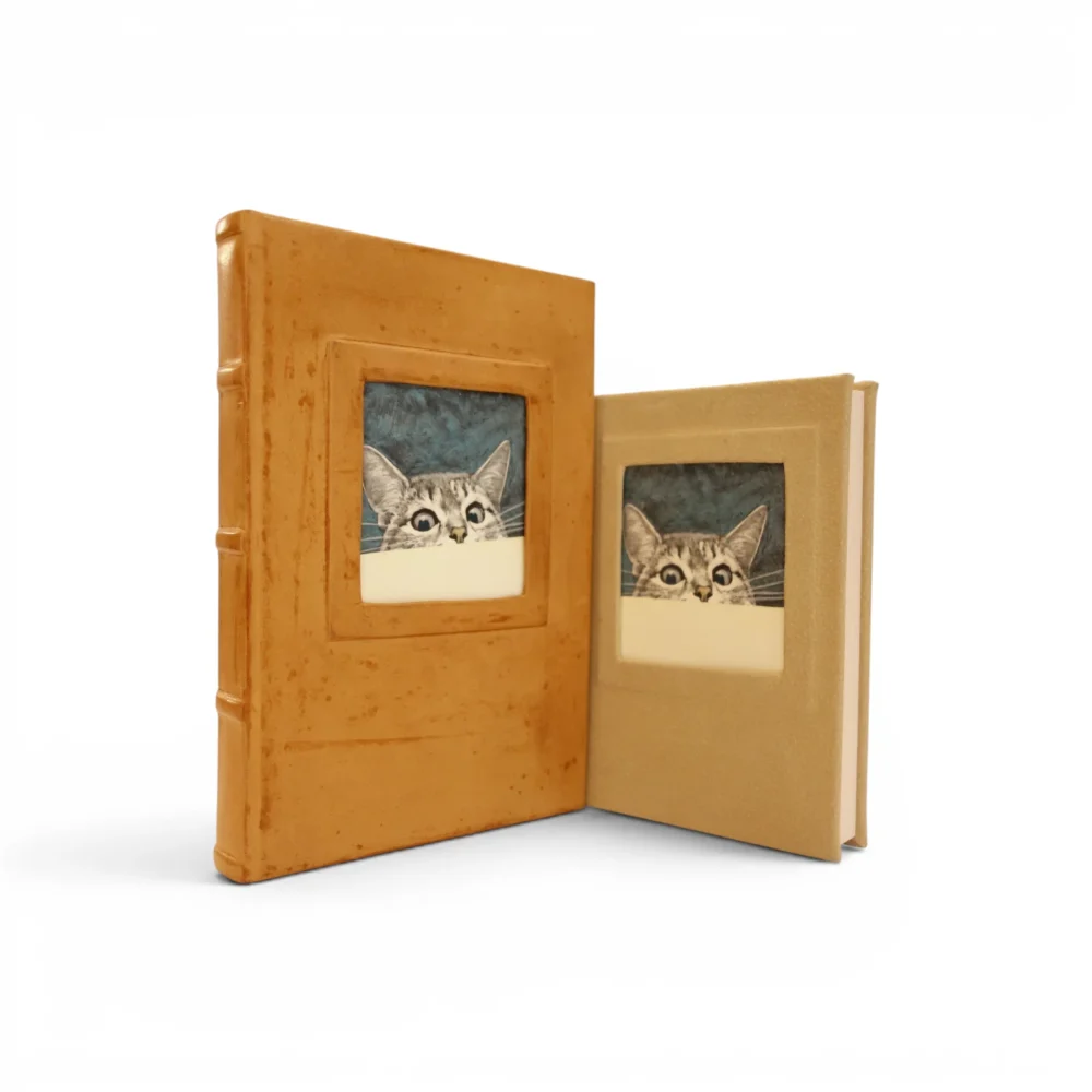 diari artistici gatto sotto tavolo diari-artistici-gatto-sotto-tavolo